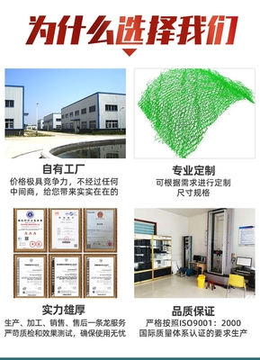 市政工程邊坡防護用三維植被網-EM5