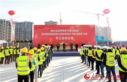 雄安容西的第一棵樹,種在這里